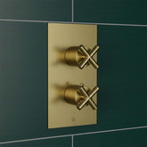 Brushed Brass 2 Outlet Thermostatic Shower Valve Vertical Brushed Gold 2 Outlet Thermostatic Shower Valve Vertical