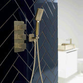 Wall Mounted Square Shower Handset with Hose and Outlet - Brushed Brass shower-kit