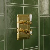 Concealed Thermostatic Single Outlet Shower Mixer Valve - Polished Gold Traditional thermostatic shower mixer valve - gold
