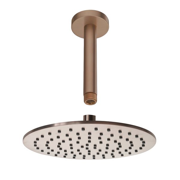 bronze shower head and arm