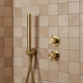 Brushed Brass Water Outlet with Slim Handset Shower Kit and Hose brushed brass shower head and hose
