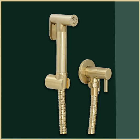 Douche Set with Angle Valve brushed brass douche