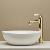 Traditional Tall Single Lever Basin Mixer Tap with Click Clack Waste - Polished Gold traditional tall lever basin tap