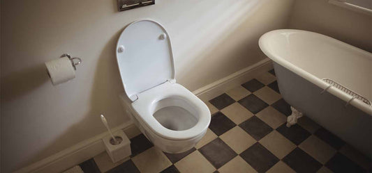 How to Fix a Toilet Flush: A Complete Step-by-Step Guide