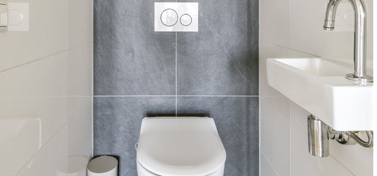  Elevating Your Bathroom with a Toilet Flush Upgrade 