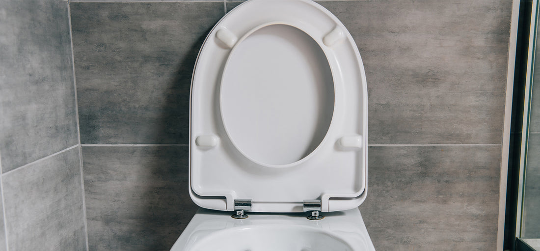 A Step-by-Step Guide to Fitting a Toilet Seat