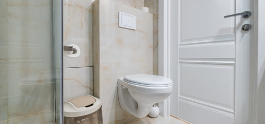 Exploring the Various Types of Toilets A Comprehensive Guide 