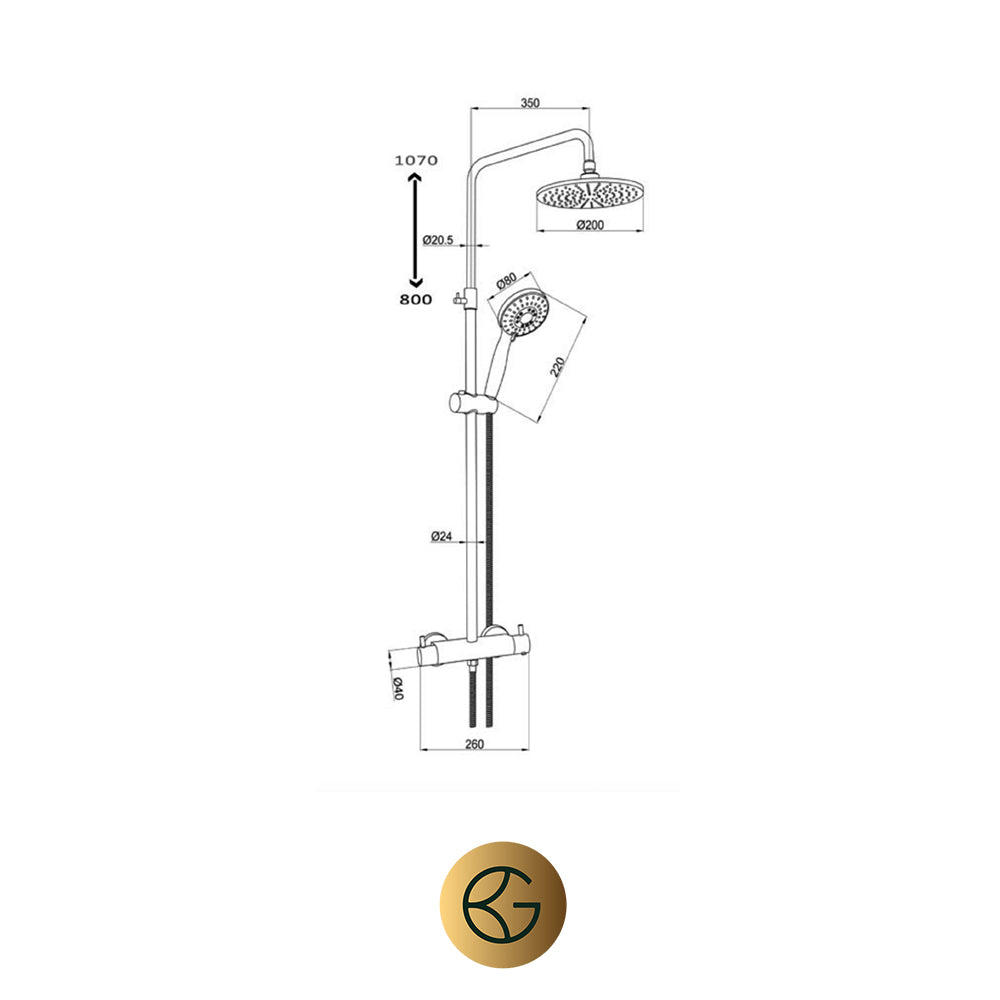 Gold Shower Mixer with Rigid Riser Shower Kit