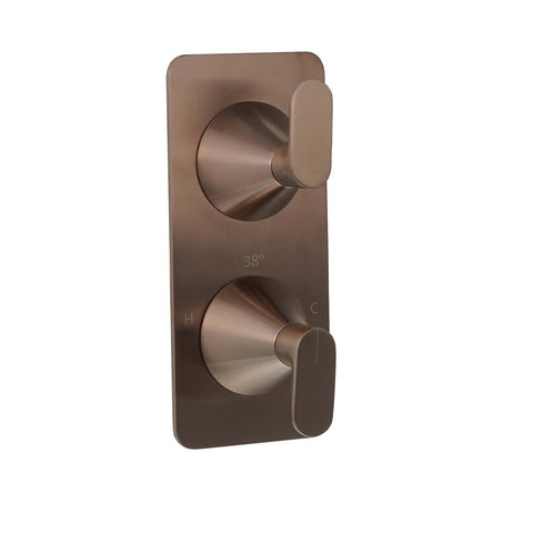 Brushed Bronze Concealed Thermostatic Two Outlets Shower Mixer Valve