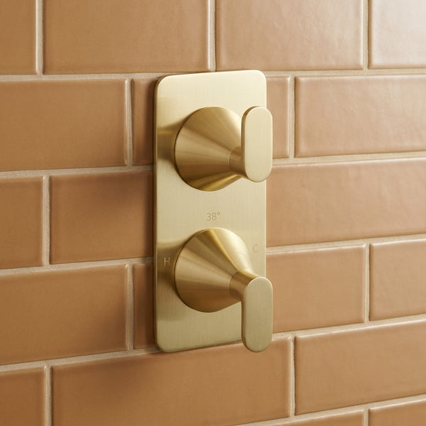 Brushed Brass 2 Outlet 2 Dials Concealed  Thermostatic Shower Valve