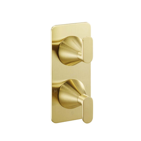 Brushed Brass 2 Outlet 2 Dials Thermostatic Shower Valve