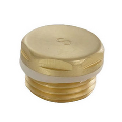 Radiator Blanking Plug 1/2 BSP brushed brass