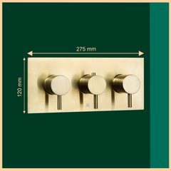 2 outlet thermostatic shower valve