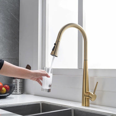 Gold Pull-Out Spray Kitchen Mixer Tap

