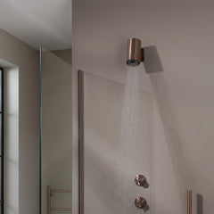 wall mounted shower head brushed bronze