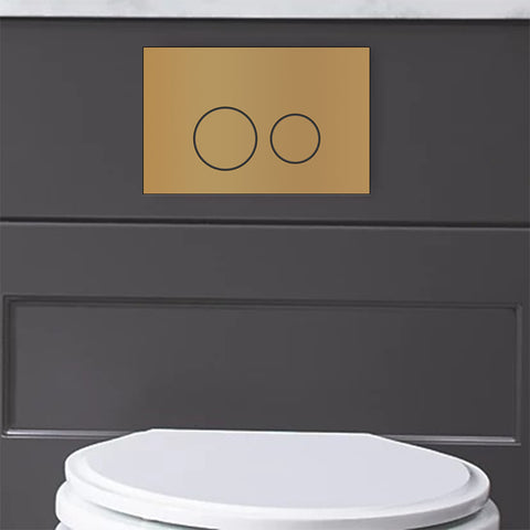 Round Buttons Toilet Flush Plate - brushed brass
