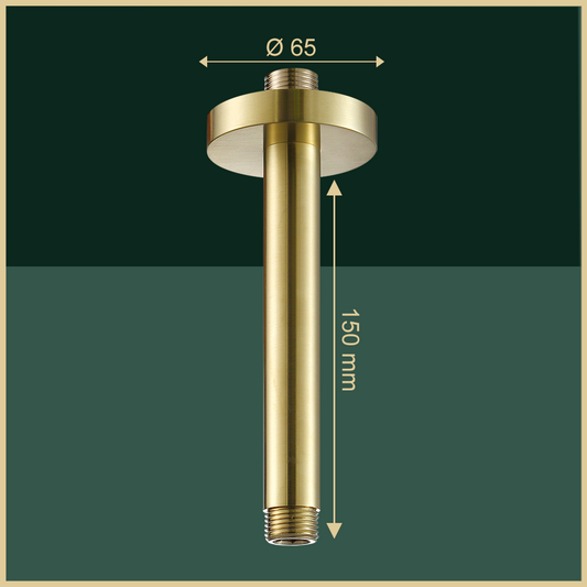 brushed gold shower arm