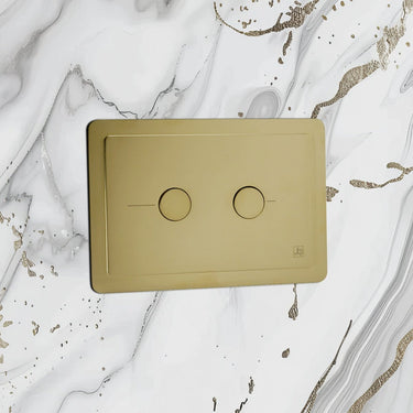 Pneumatic Metal Toilet Flush Plates Brushed and Antique Brass