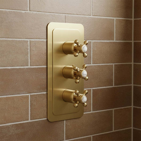 Traditional style brushed brass 2 outlet shower valves