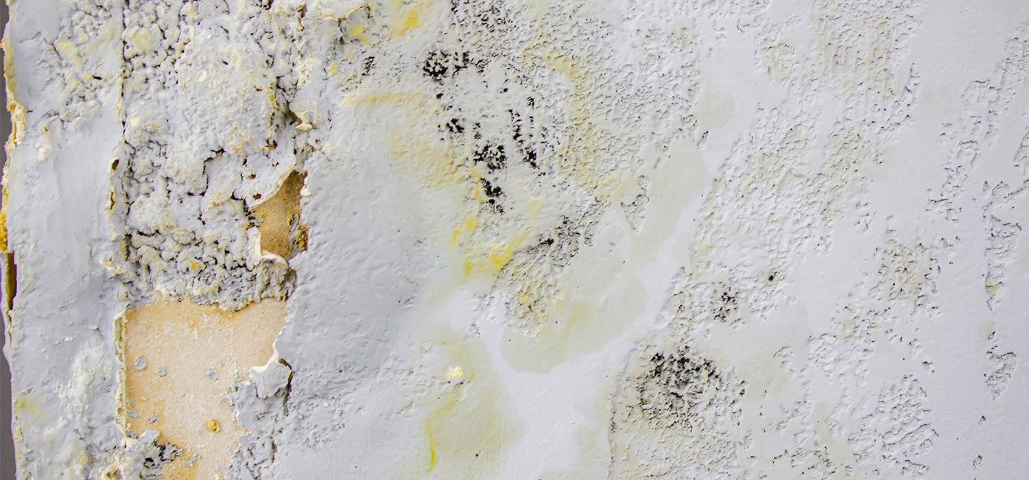 Remove Bathroom Mould Guide - Gold Bathroom UK