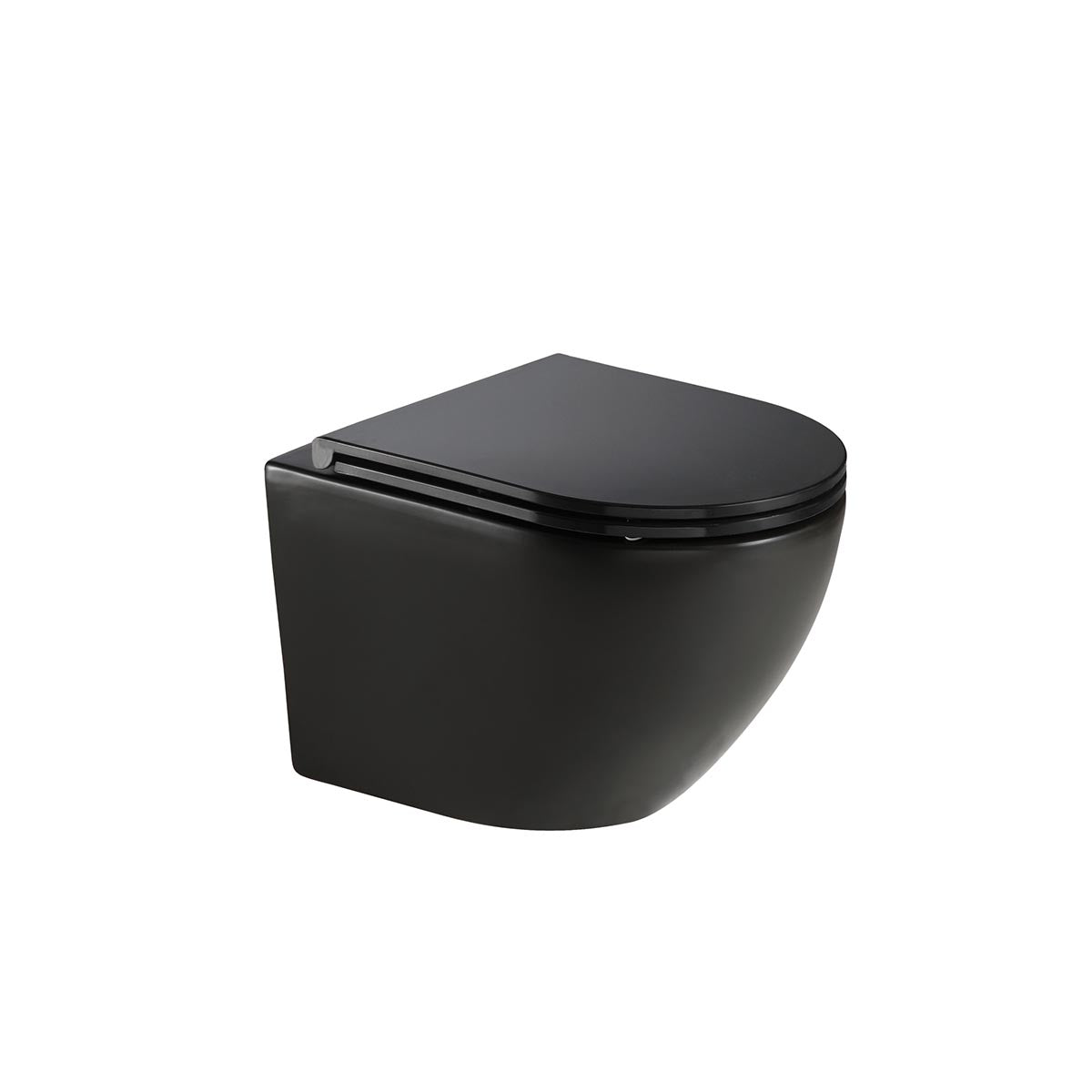matt black wall hung toilet
