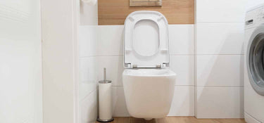 How to Replace a Toilet Seat: A Simple Guide for a Quick and Easy Upgrade