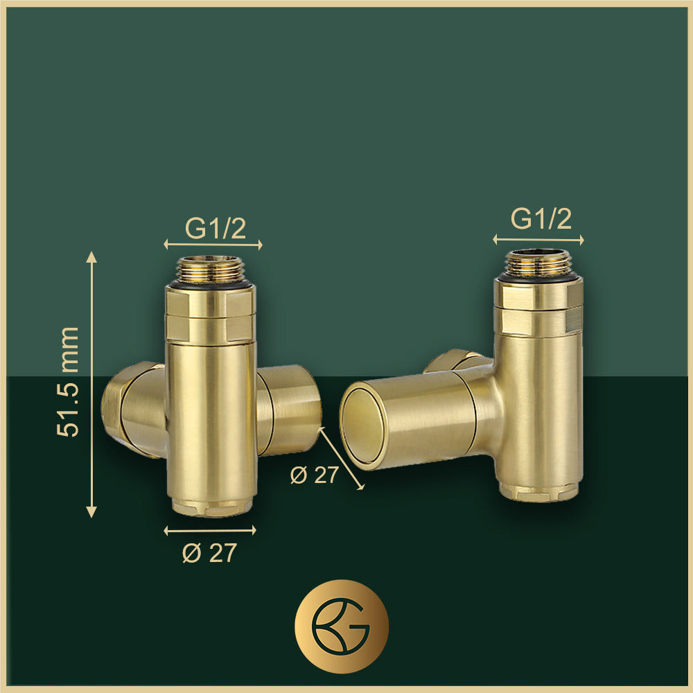 brushed brass dual fuel towel valves 