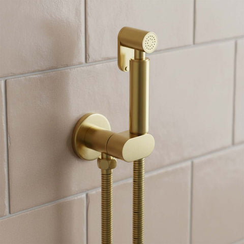 brushed brass shower douche kit