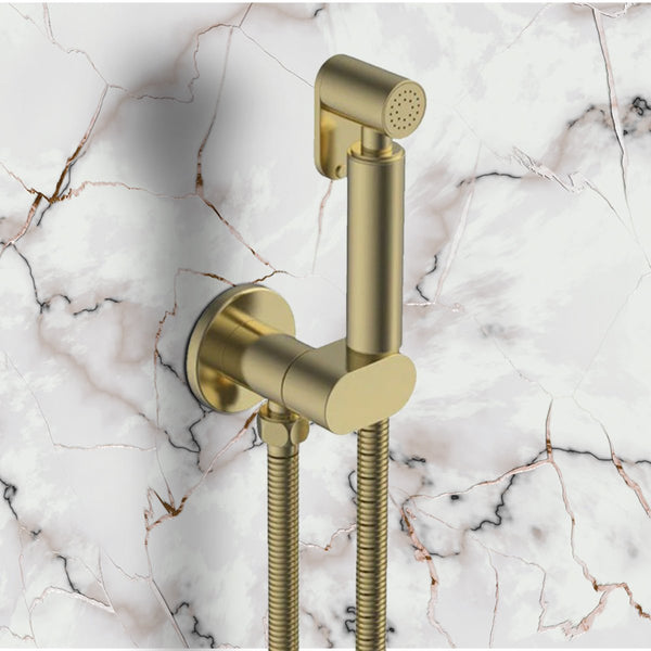 brushed brass shower douche kit