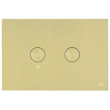 brushed_gold_toilet_flush_button_1