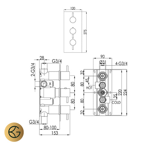 gold 2 outlet concealed shower valve