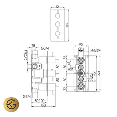 gold 2 outlet concealed shower valve