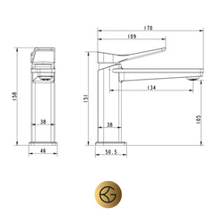 gold monobloc basin tap