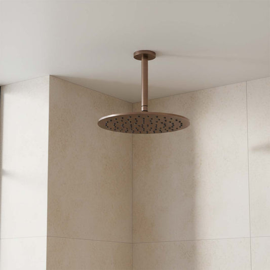 round shower head and arm - brushed bronze