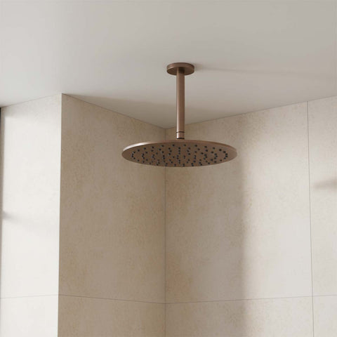 round shower head and arm - brushed bronze