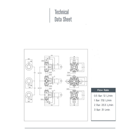 double shower valve