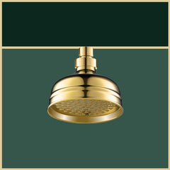 traditional brass shower head