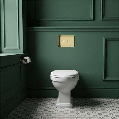 traditional toilet dual flush plate - gold