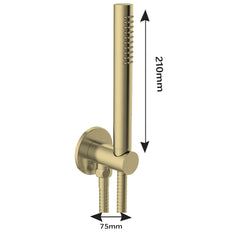 gold hand held shower head