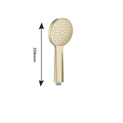 gold handheld shower head