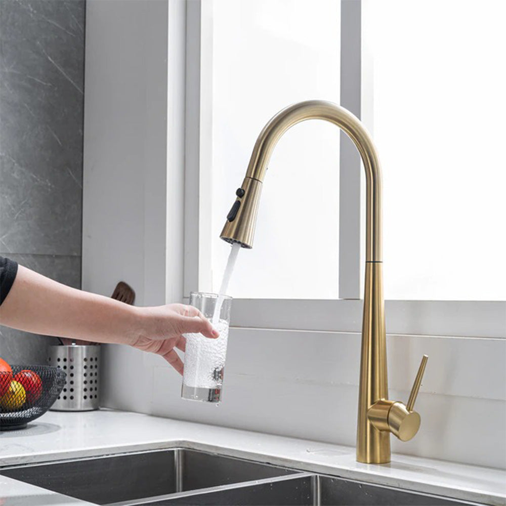 gold pull out kitchen tap