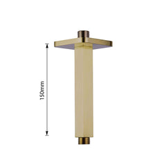 gold shower arm